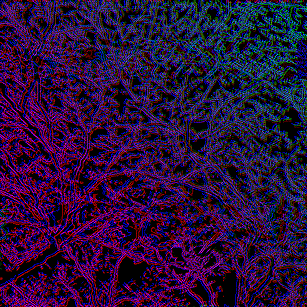 Glitch Gradient Branches